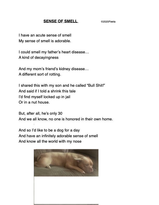 A poem about a cat that is curled up.