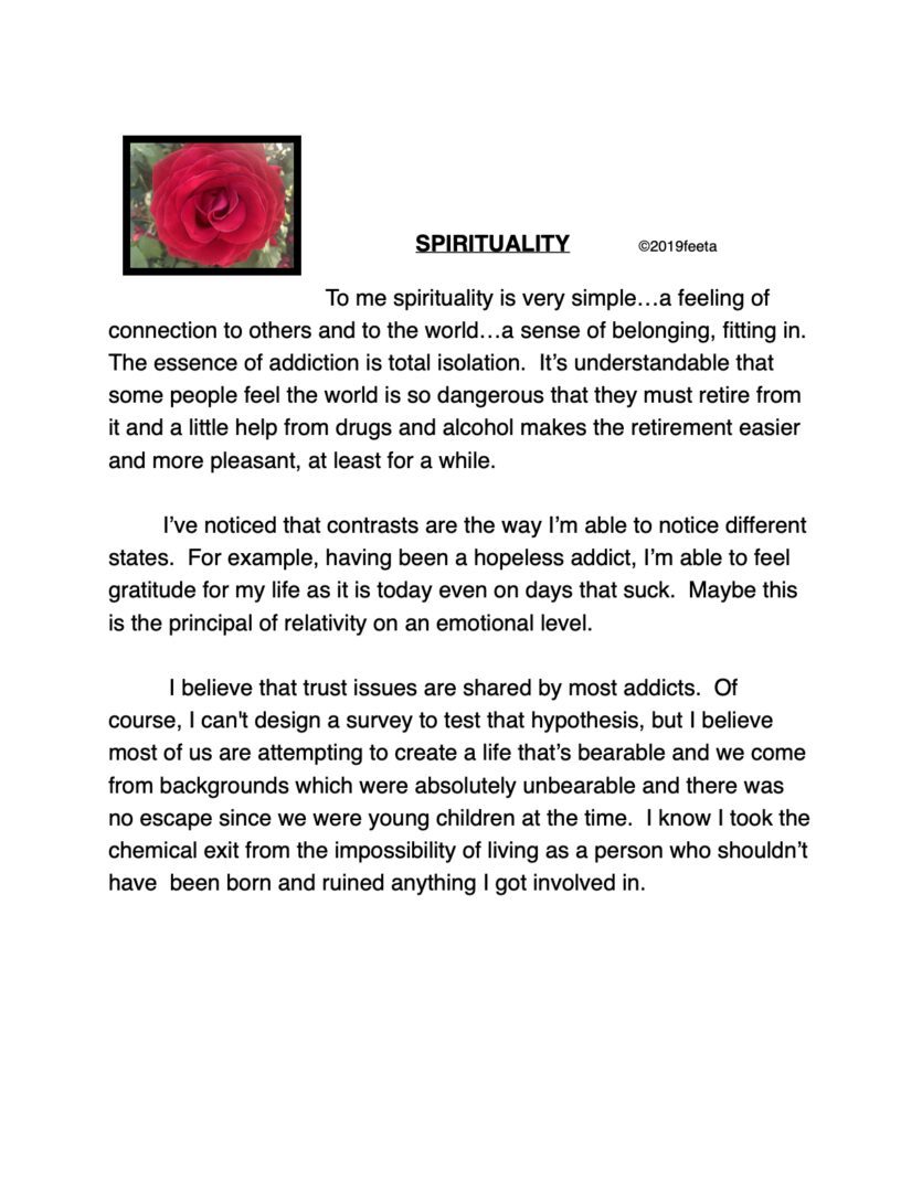 A red rose is shown in this article.