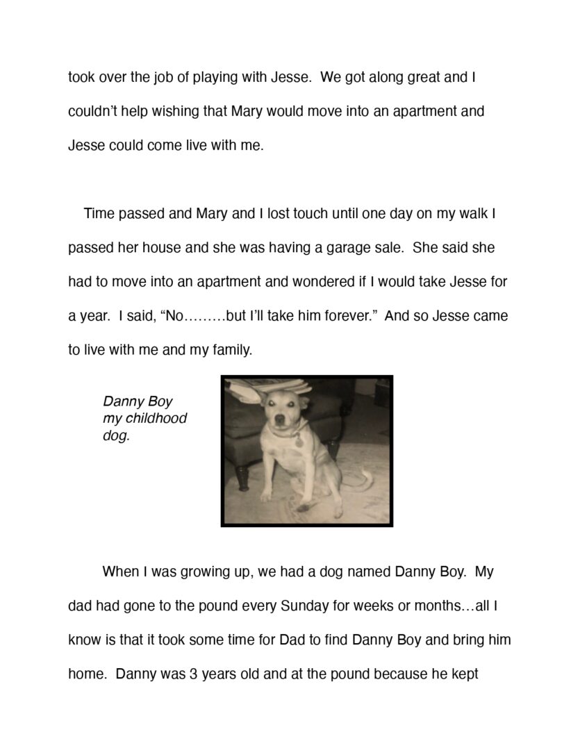 jesse-the-accidental-dog-life_page-0002